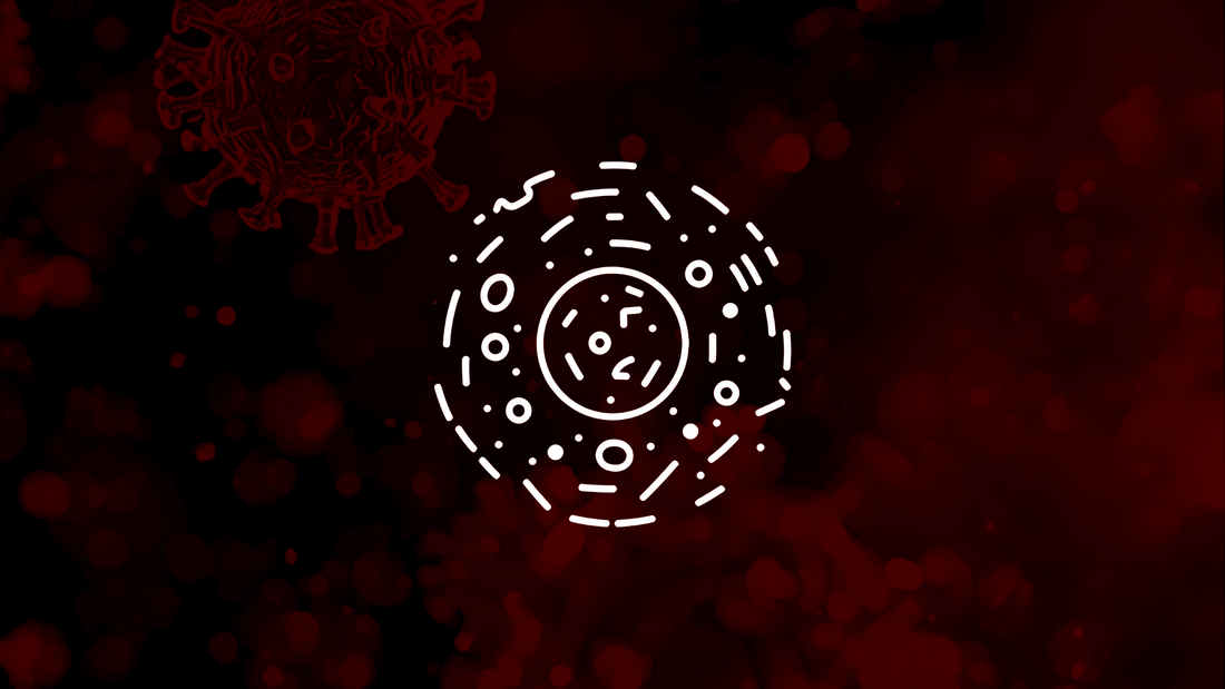 Pol Count Examples High White Blood Cell Count: Why It Matters – PlatinumLED Therapy Lights